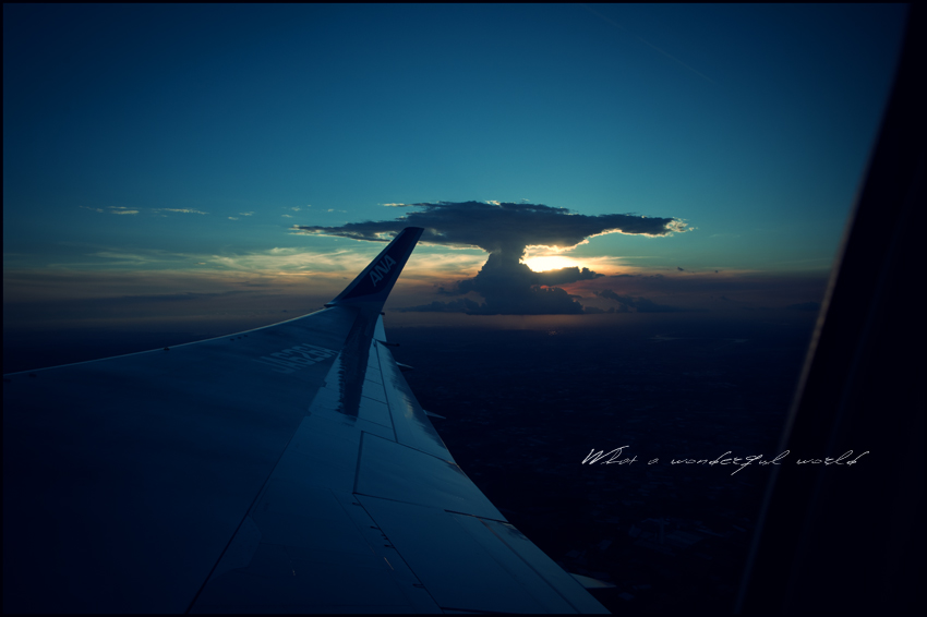 DSC_1290B.jpg