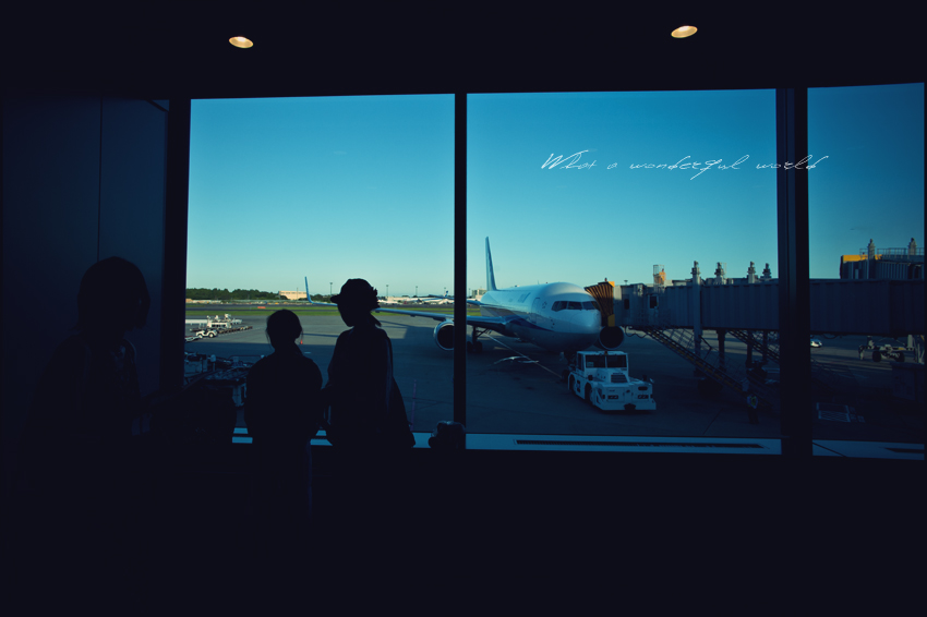 DSC_1284-2B.jpg