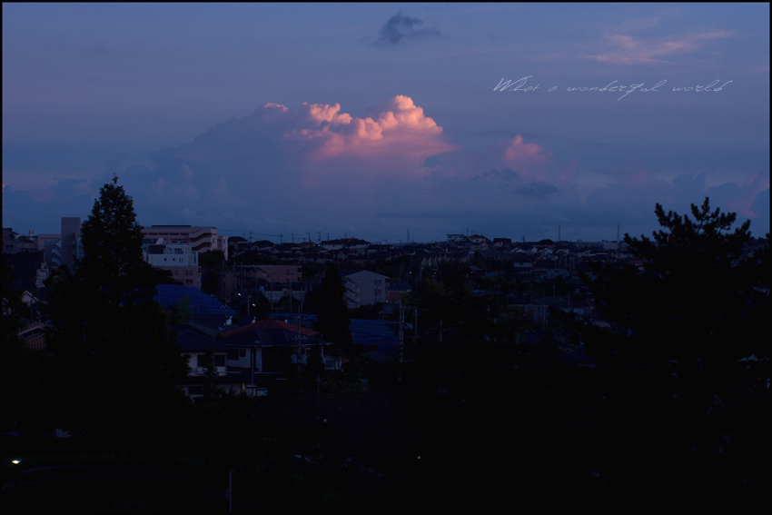 DSC02977B.jpg
