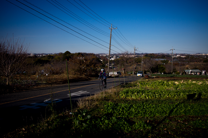 DSC02845B.jpg