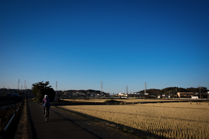 DSC02928B.jpg