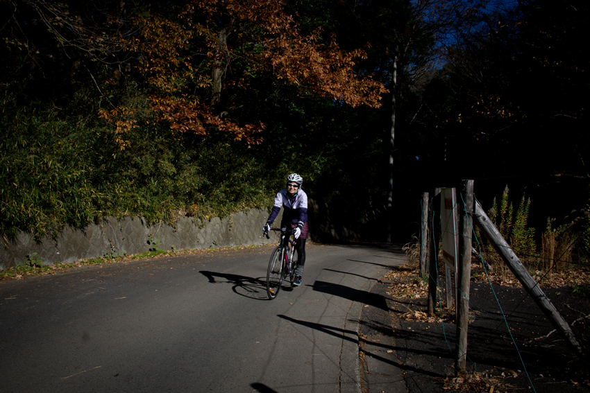 DSC02687BB.jpg