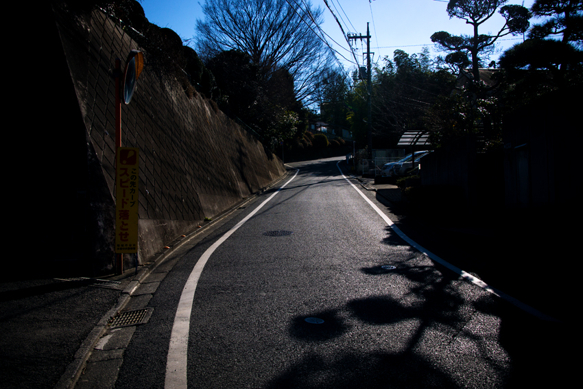 DSC03300B.jpg