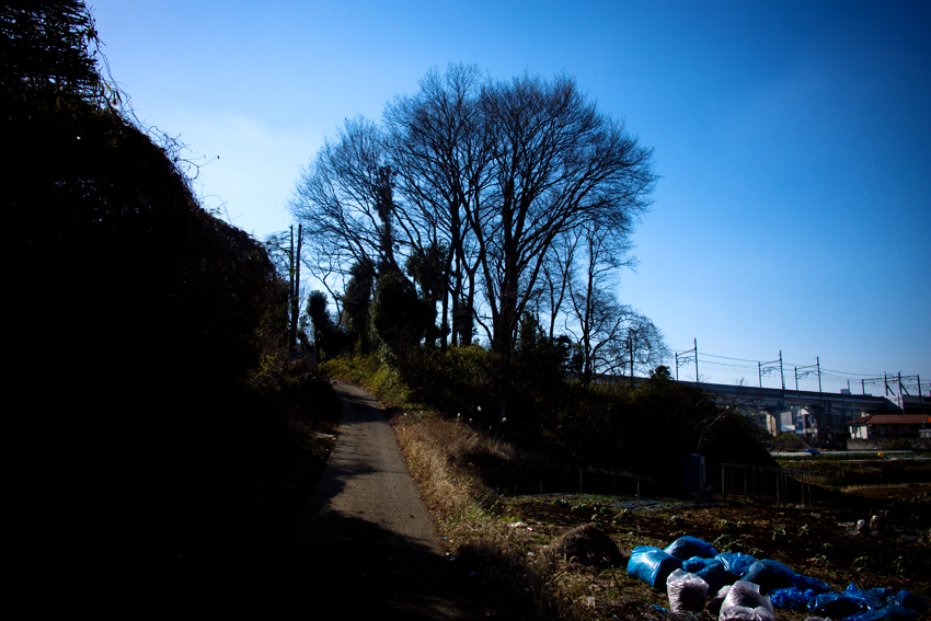 DSC03315B.jpg