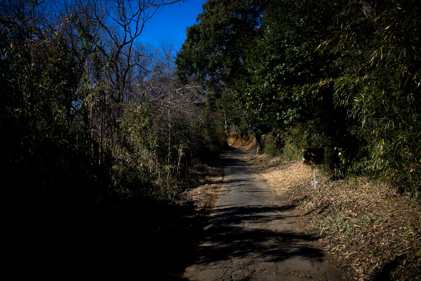 DSC03339B.jpg