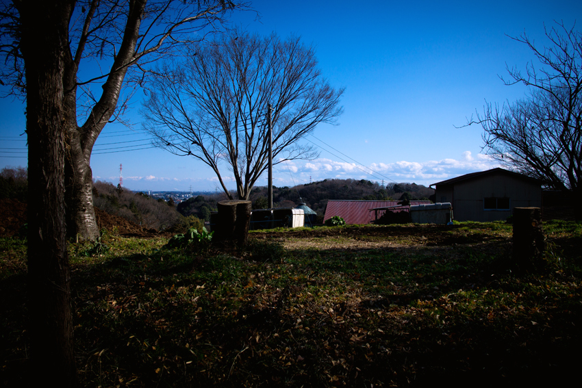 DSC03358B.jpg