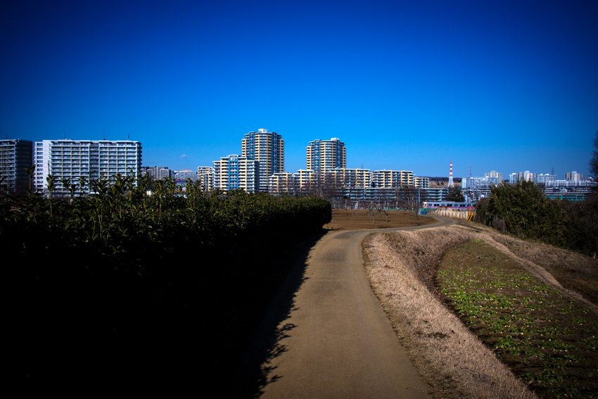 DSC03324B.jpg