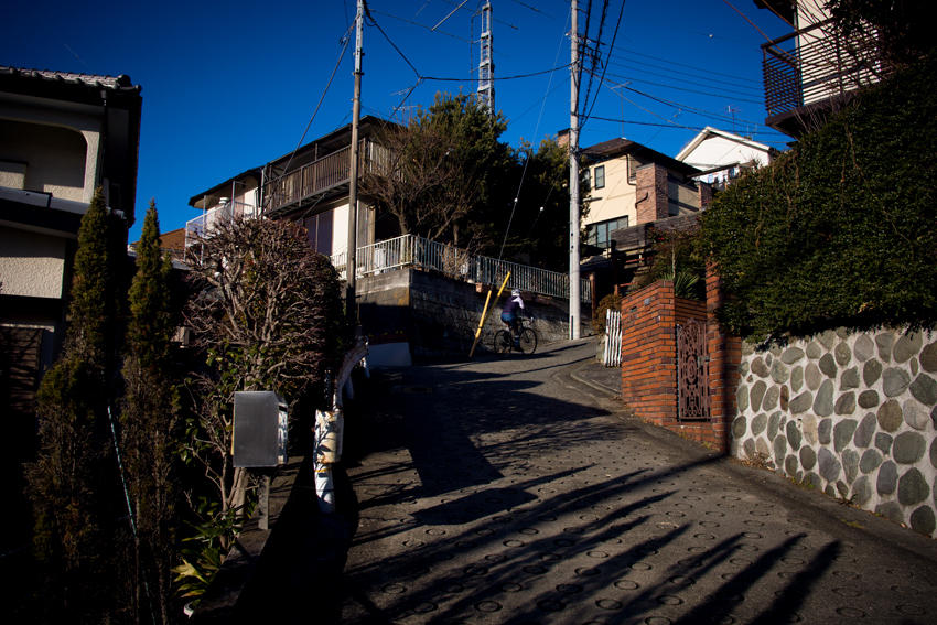 DSC03419B.jpg