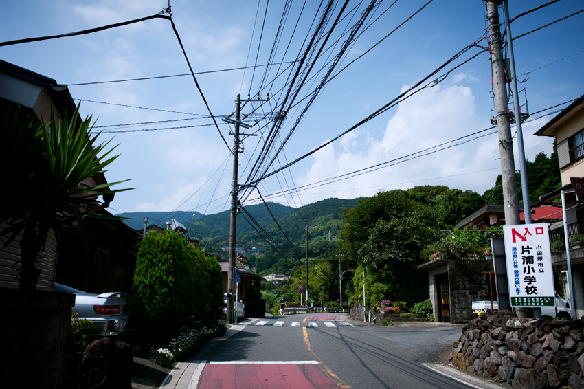DSC_0382B.jpg