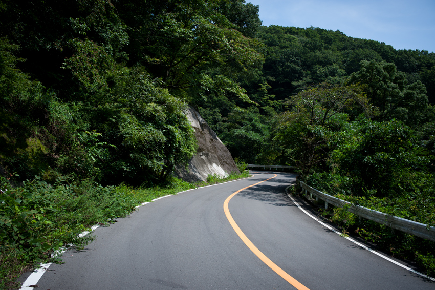 DSC_0419B.jpg