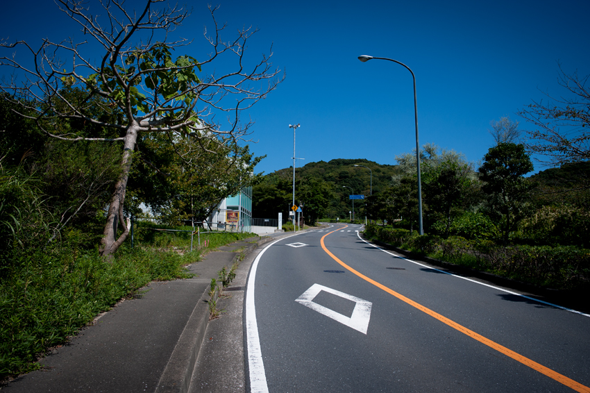 DSC_0474B.jpg