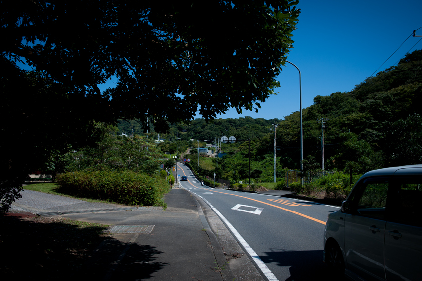 DSC_0463B.jpg