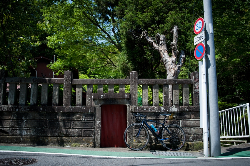 DSC_2019BB.jpg