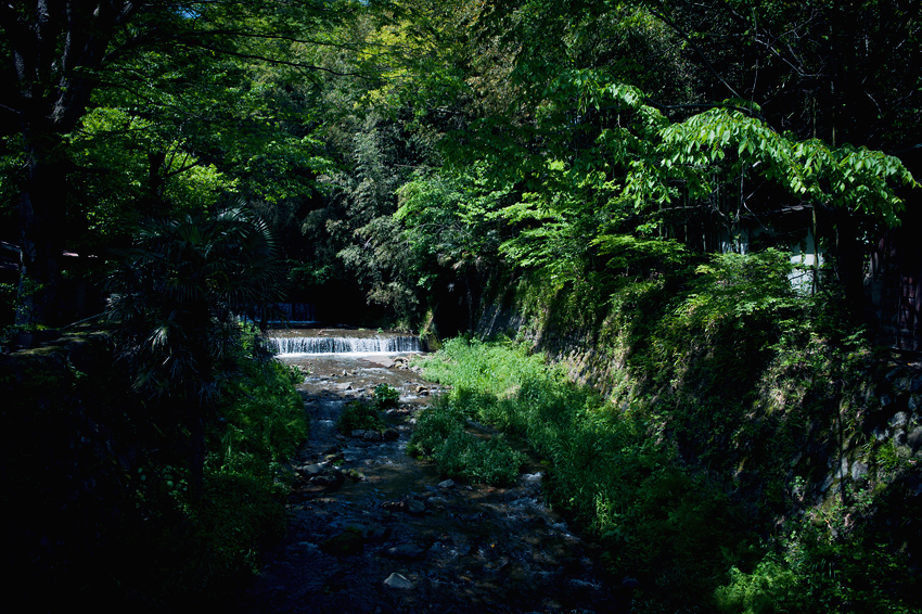 DSC_2013B.jpg