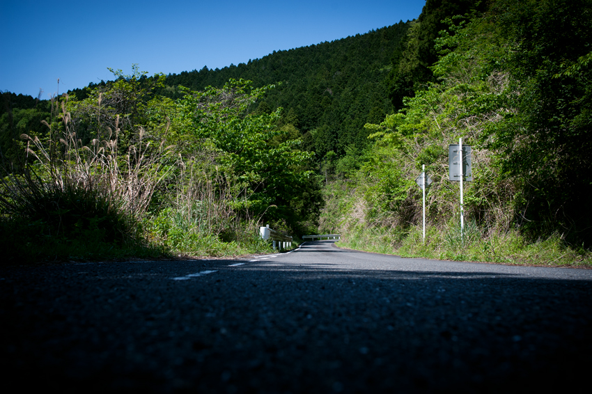DSC_2094B.jpg