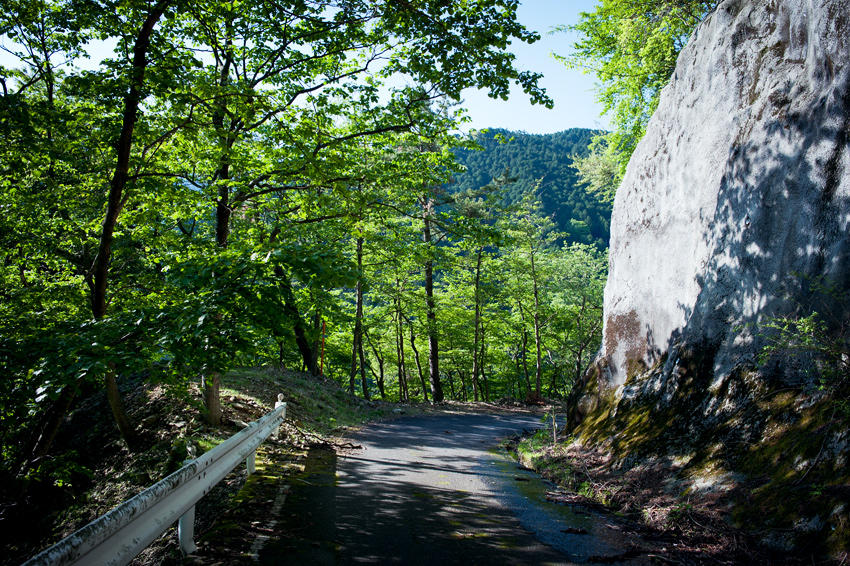 DSC_2175B.jpg