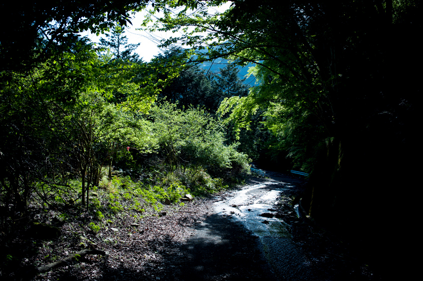 DSC_2192B.jpg