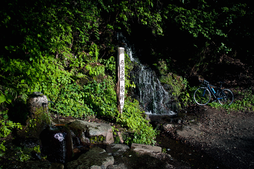 DSC_2245B.jpg