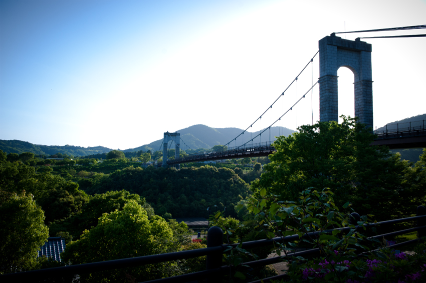 DSC_2258B.jpg