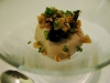 foiglasmouse
