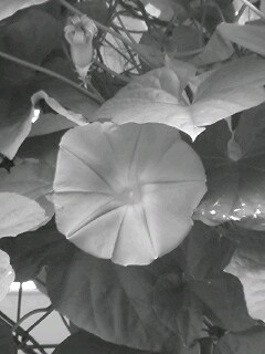 070723_0957~0001.jpg