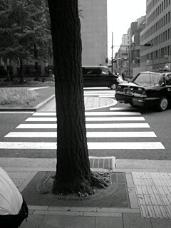 070726_1122~0001.jpg