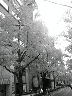071204_1102~0001-0001.jpg