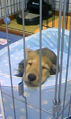 080525_1241~02.jpg