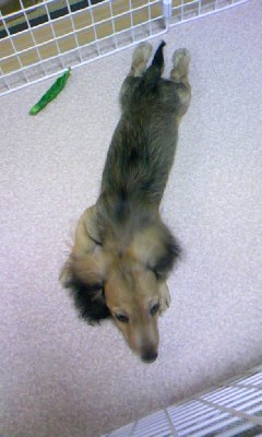 080527_2212~01.jpg