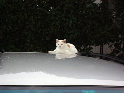 2004年の夏