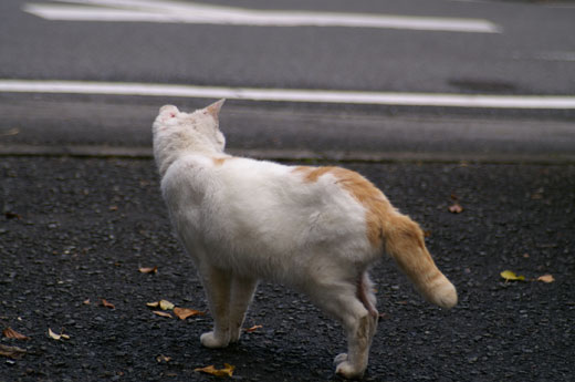 2005年の秋