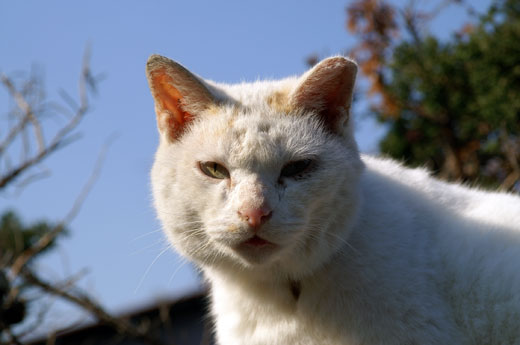 2005年暮れ