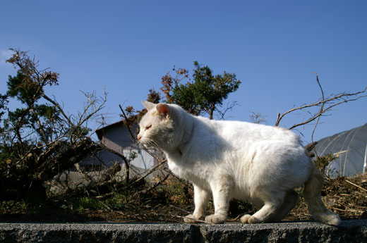 2005年暮れ