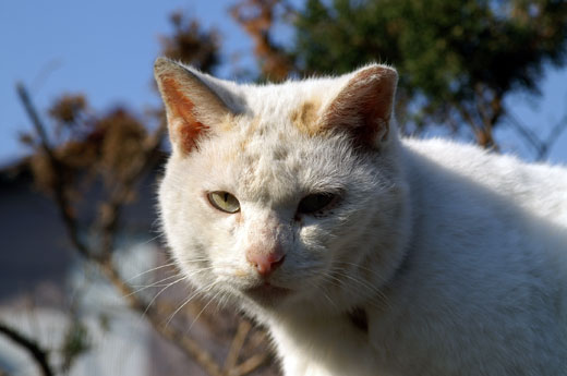 2005年暮れ