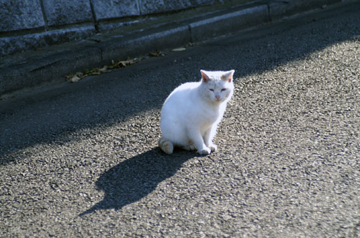 2005年暮れ