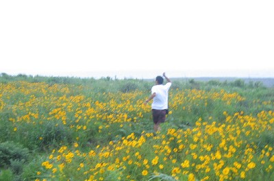 田子の浦3