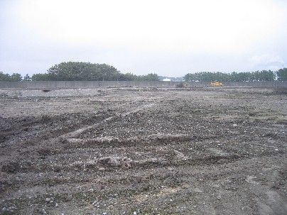 田子の浦5