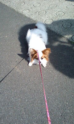'08.3.23_いやいや