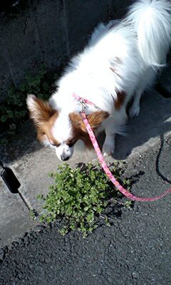 '08.3.23_草