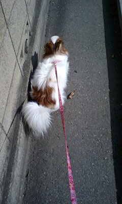 '08.3.23_トコトコ2