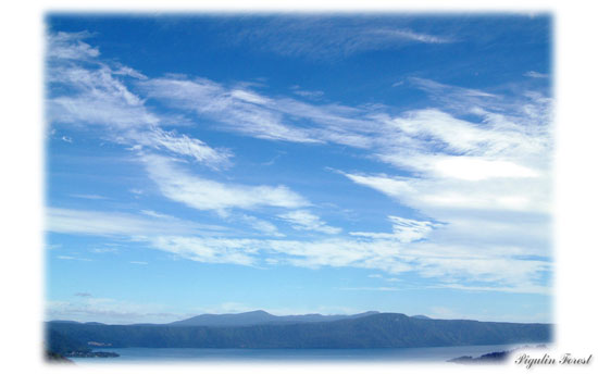 東北PHOTO