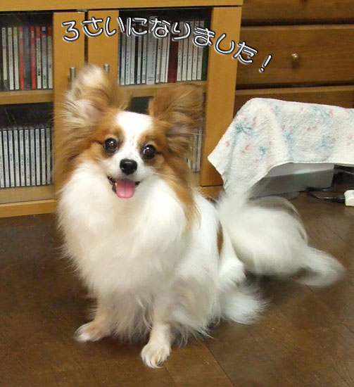 '09.4.21_誕生日1