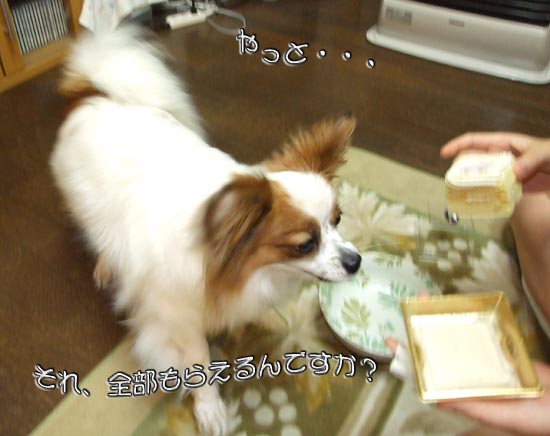 '09.4.21_誕生日3