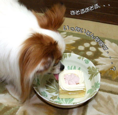 '09.4.21_誕生日4