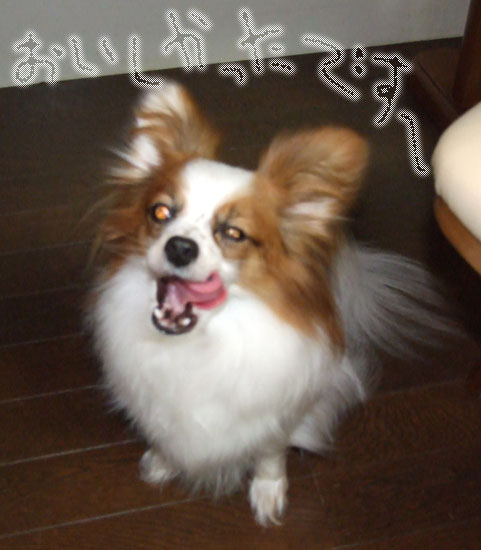 '09.4.21_誕生日7