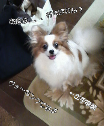 '09.7.4_2