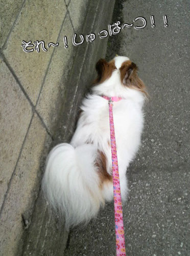 '09.7.4_4
