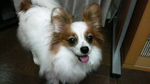 2009100522540000.jpg