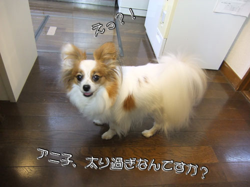 10.3.11_ダイエット8