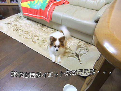 10.3.11_ダイエット9
